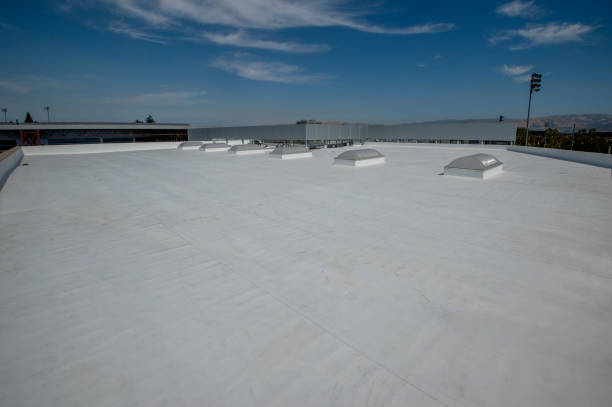Best Flat Roofing  in Haliimaile, HI