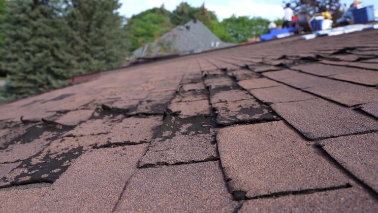 Best Roof Maintenance and Cleaning  in Haliimaile, HI