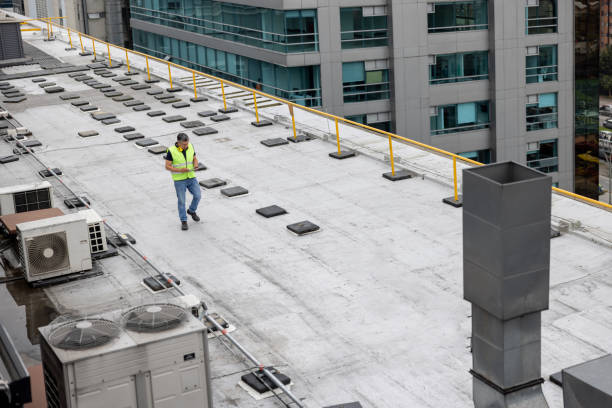 Best Chimney Flashing Repair  in Haliimaile, HI