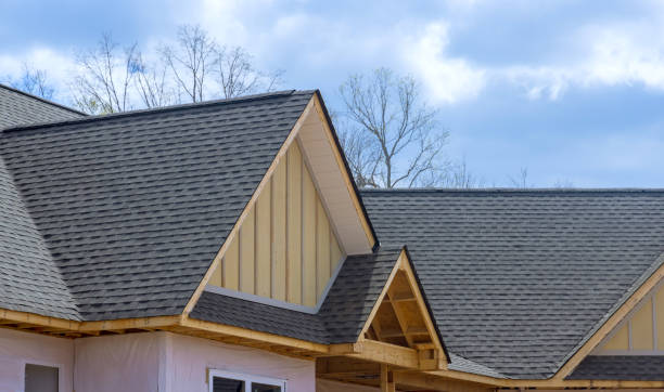 Best Roof Insulation Installation  in Haliimaile, HI