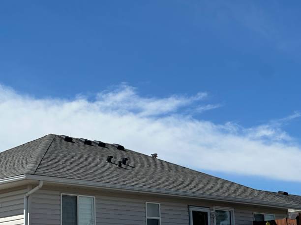 Best Metal Roofing Installation  in Haliimaile, HI